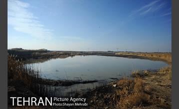 بوی نامطبوع در مسیر فرودگاه امام خمینی(ره) 47