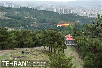 طبیعت بهاری پارک جنگلی لویزان‎  13