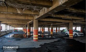 جای خالی پروانه ها 1