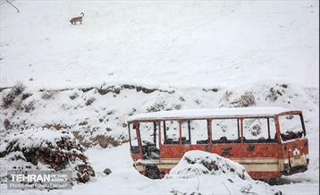 بارش برف زمستانی در شمیران  10
