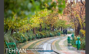 پاییز در بوستان المهدی(عج) 3