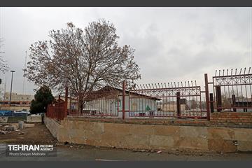 آمفی تئاتر بوستان کاظمی
