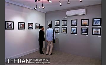 نمایشگاه گروهی عکس" تهران شهر زندگی" 9