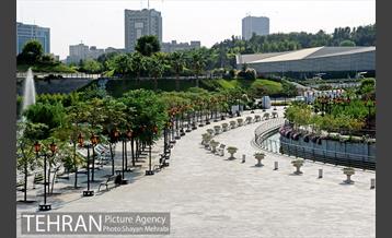 دریاچه و باغ هنر 19