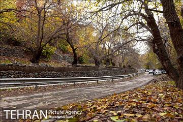 پاییز زیبای منطقه کن 14