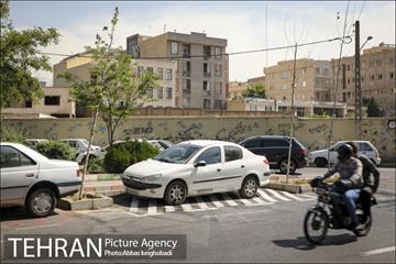 پارک خودرو‌ بین درختان چنار 8