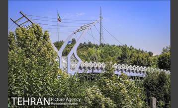 تنفس طبیعت زیبای منطقه ۷ در روزهای حضور کمرنگ شهروندان 9