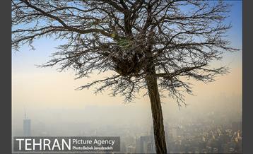 آلودگی هوای تهران از فراز کلکچال 13