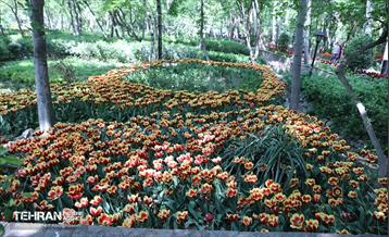 بازدید اصحاب رسانه از باغ ایرانی 8