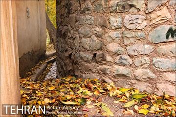 پاییز طلایی روستای افجه 8