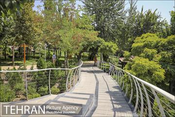 تنفس طبیعت زیبای منطقه ۷ در روزهای حضور کمرنگ شهروندان 13