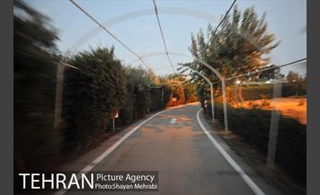 شبگردی اصحاب رسانه به میزبانی منطقه 9 26