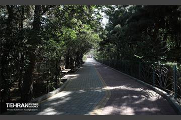 افتتاح بوستان ملل در منطقه ۳ 13