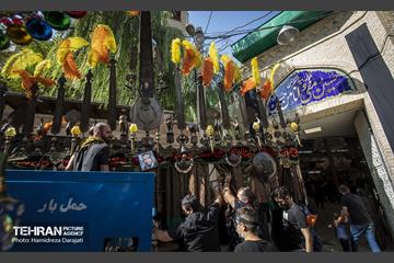 ‌نخل‌برداری در حصاربوعلی