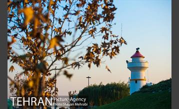 پاییز اراضی عباس آباد 25