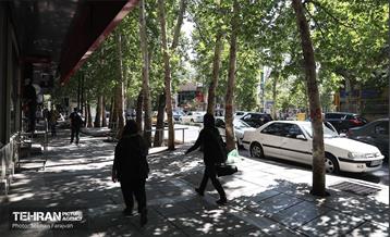 نشست خبری شهردار منطقه 1 6