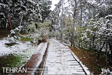بارش برف پاییزی در بوستان طالقانی 29