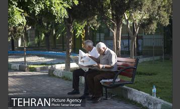 بوستان شقایق 16