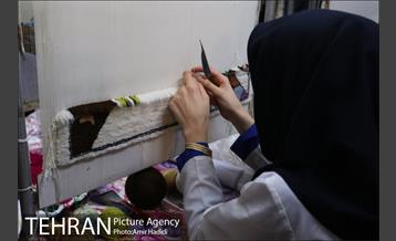 بازدیدهای شهردار تهران در جریان نظارت ستادی منطقه 14 19