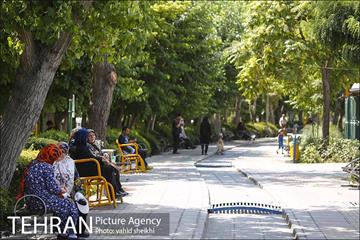 بوستان المهدی 6