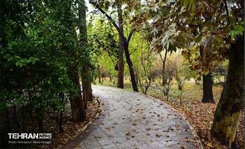 یک روز پاییزی در منطقه ۱۴