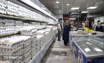 خدمات رسانی بازارهای میوه و تره‌بار 10