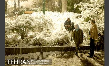 بارش اولین برف پاییزی تهران 41