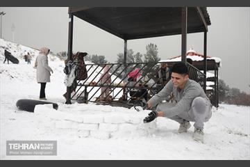روز برفی تهران - 2 12