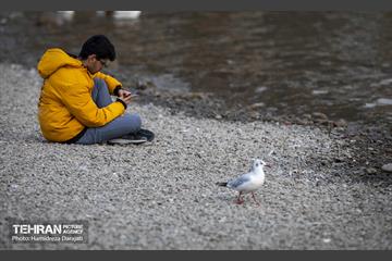 آوای مهاجران  24