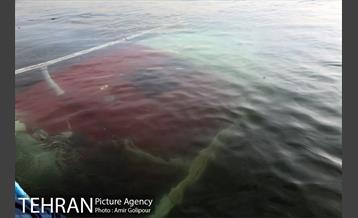 سقوط بالگرد در دریاچه شهدای خلیج فارس