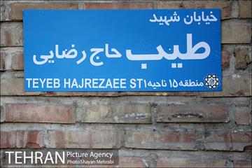 رونمایی از سردیس شهید طیب حاج رضایی 8