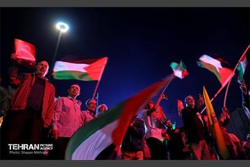 از فلسطین تا آزادی 15