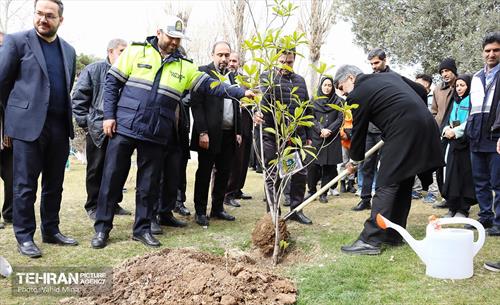 غرس ۱۱۰۰ نهال در منطقه ۱۱ 8