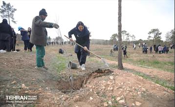 غرس 2000 نهال در بوستان جنگلی سرخه‌ حصار 2