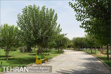 بوستان پردیس بانوان 21