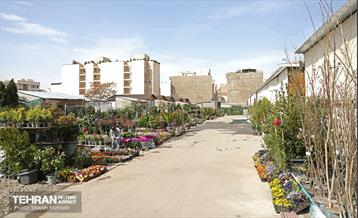 بهره‌برداری از پروژه‌های شرکت ساماندهی صنایع و مشاغل شهر تهران 31