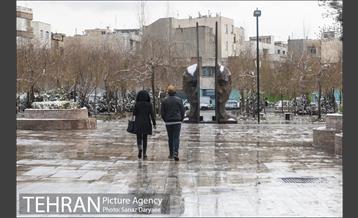 روز برفی در باغ موزه قصر‎ 19