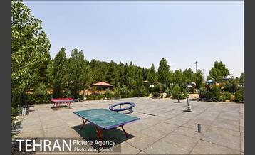 بوستان جنگلی یاس فاطمی 29