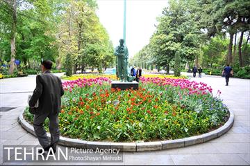 رویش گل لاله در پارک شهر 1