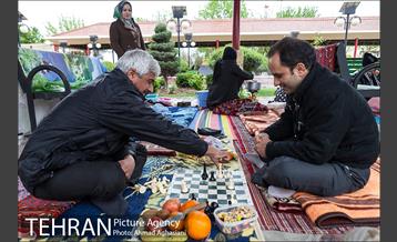 روز طبیعت بارانی در بوستان رازی 12