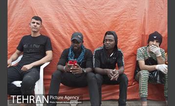 زائران اربعین حسینی 2 9