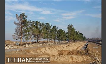 بررسی بوی نامطبوع در مسیر فرودگاه امام خمینی(ره) -2 24