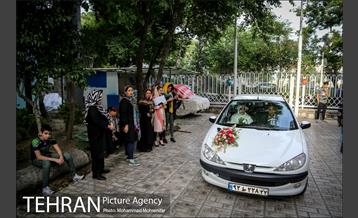 جشن ازدواج دو کارتن خواب بهبود یافته 1