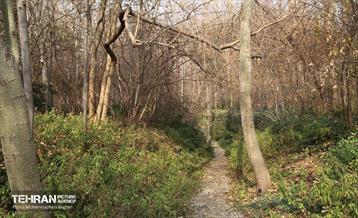 بازدید گروه های دوام مناطق از باغ گیاه شناسی ملی 5