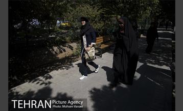 بلوار کشاورز 17