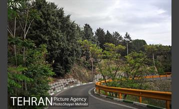 پارک جنگلی لویزان‎ 33