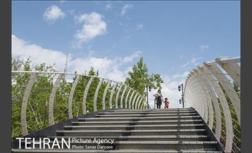 بوستان آزادگان 40