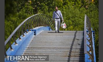 بوستان جوانمردان 6