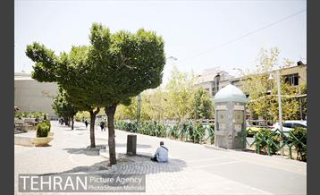 زیر آفتاب سوزان 4