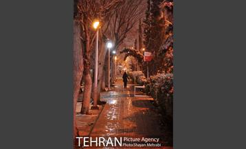 بارش برف در تهران 11